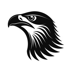 Elegant silhouette of a raptor bird in a soaring pose