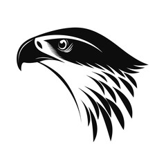 Elegant raptor bird in soaring silhouette pose