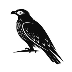 Elegant silhouette of a raptor bird perched alertly
