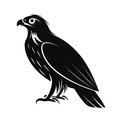 Alert raptor bird silhouette elegant perched