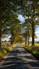 Obraz premium Road through autumn trees. Sunlight streams through leaves creating shadows. Countryside scene