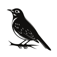 Elegant silhouette of a robin perched on a tree branch