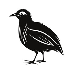 A small flightless bird standing quietly with bold s