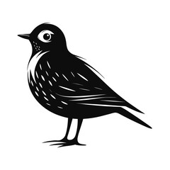 A small flightless bird standing still with bold outlines