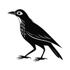 Small flightless bird walking silhouette