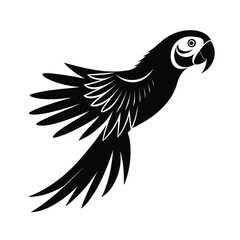 Elegant parrot silhouette vector design