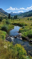 Serene valley with river flowing through green field, under blue sky with mountains