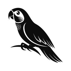 Bold silhouette of a small parrot perched quietly