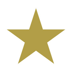 Star Symbol. Golden Star Icon