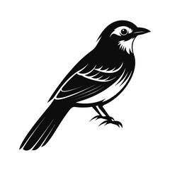 Elegant songbird silhouette perched gracefully