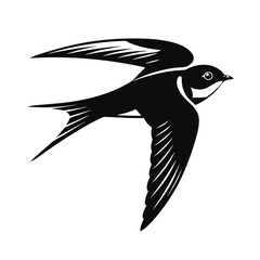 Elegant silhouette of a swallow in mid flight