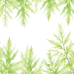 Fototapeta premium bamboo frame isolated on white