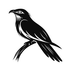 Bold silhouette of a tropical bird perched gracefully