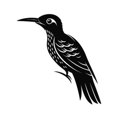 Vibrant tropical bird perched gracefully in silhouette