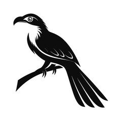 Vibrant tropical bird perched gracefully in bright colors