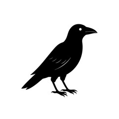 Silhouette of a black crow on transparent background