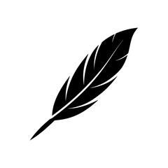 Obraz premium A single black feather art on transparent background silhouette