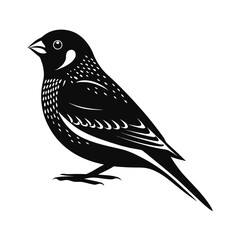 Elegant silhouette of a zebra finch perched quietly