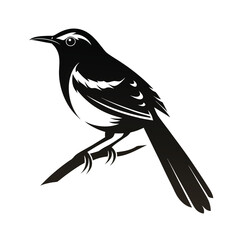 Elegant wren silhouette simple bird design