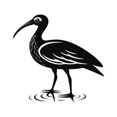 An ibis bird standing in shallow water with a striking silhouette