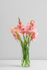 Glass vase with bouquet of beautiful gladiolus flowers on white background