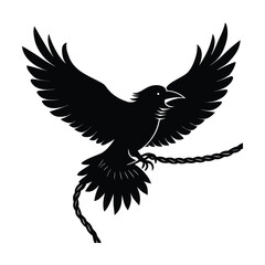 Crow flying above twisted wire with head tilted forward