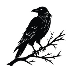 Crow perched on a jagged branch with a slightly turned head