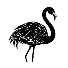 Elegant flamingo preening with curved neck and detailed feathers