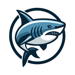 
shark illustration design