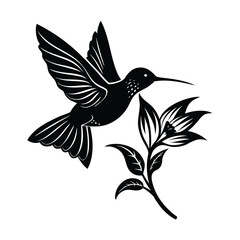 Hummingbird in diagonal flight with angled wings