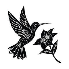 Hummingbird hovering near flower with angled wings
