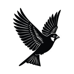 Majestic sparrow in full flight with wings spread