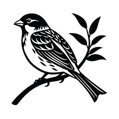 Sparrow perched on a curved branch looking to the right © Crazy Dreamy Boy