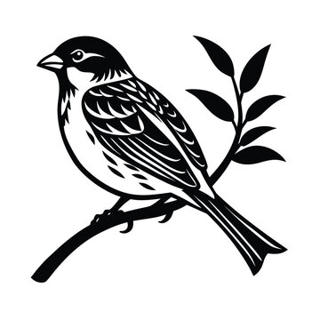 Sparrow perched on a curved branch looking to the right