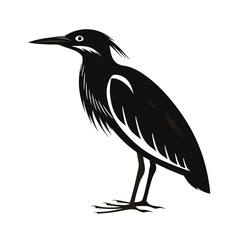 Camouflaged bittern bird silhouette standing still