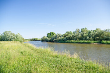 Fototapeta premium Coast of the summer river.