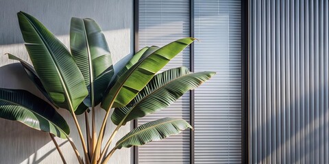 Green palm with reeded glass. Ribbed Background. Plant leaves. White Reeded Glass. Refreshing gradient background with stylish transparent elements. Beautiful tree decor on blurred template.