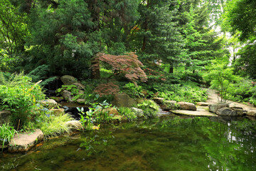 Susie Harwood Garden and Pond, Hillside at the University of North Carolina, Charlotte Botanical Gardens. A free public garden, with native and non-native plants that grow well in Carolina Piedmont. 