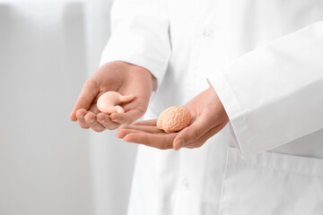 Female doctor with stomach and brain models in clinic, closeup