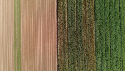 Aerial View of Agricultural Fields Showing Rhythmic Brown and Green Stripes
