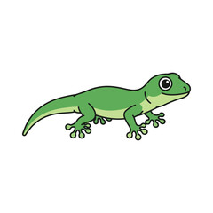 lizard illustration design