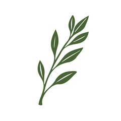Obraz premium Simple hand drawn illustration of a green leafy branch.