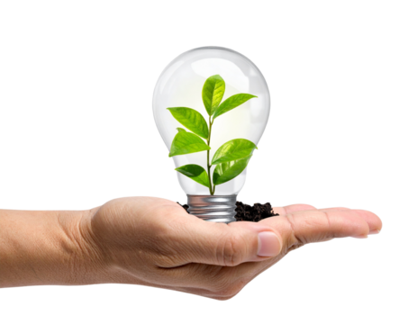 Hand Holding Light Bulb with Miniature Green Plant Inside, Transparent PNG