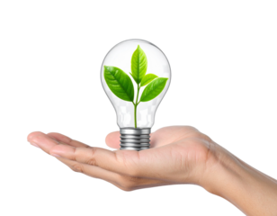 Hand Holding Light Bulb with Miniature Green Plant Inside, Transparent PNG