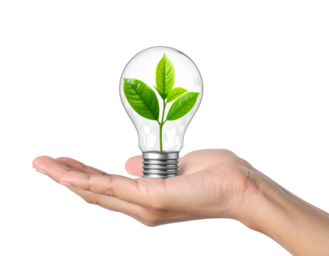 Hand Holding Light Bulb with Miniature Green Plant Inside, Transparent PNG