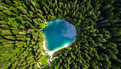 Emerald Lake Nestled in a Lush Forest.