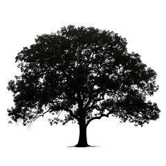 Stylized Silhouette of a Large Oak Tree with White Outline