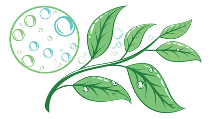 Vector illustration of green leaves with water drops on branch