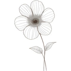 Delicate outline sketch of a single flower with subtle gray shading and leaves
