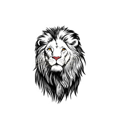 lion head isolated on white